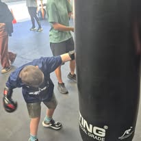 Stars Boxing in Action